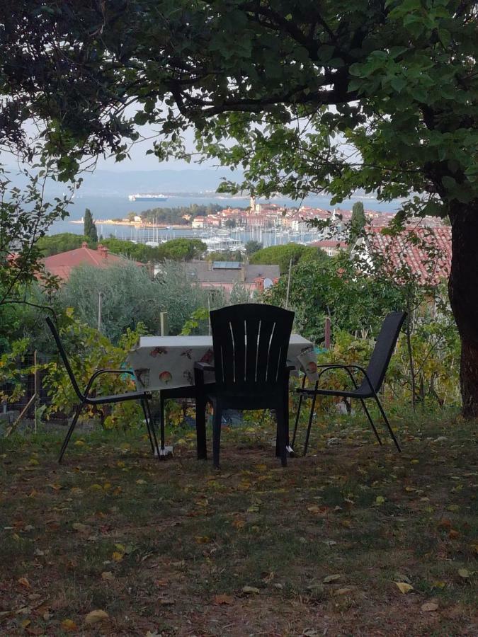 Apartment Jasmine Izola Eksteriør bilde